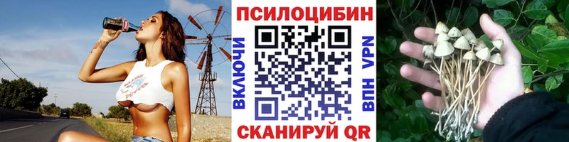 Галлюциногенные грибы GOLDEN TEACHER  Луза 